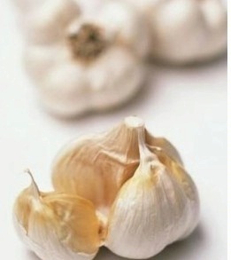 顺旺农产品 优质大蒜供应商，来电订购享优惠