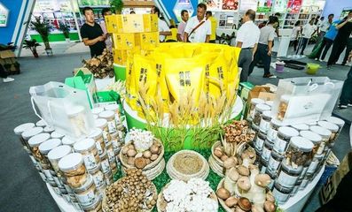 对接长三角市场！阜阳组团参加上海农交会，食用油产品受关注